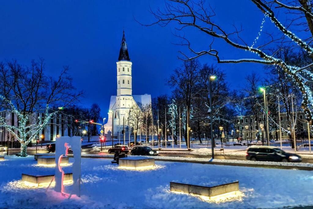 Lyra63 Large 80Sq M Top 14 Floor Šiauliai Buitenkant foto